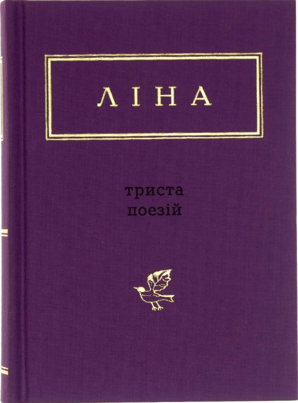Книга А5 300 поезій Костенко Ліна Яблуко