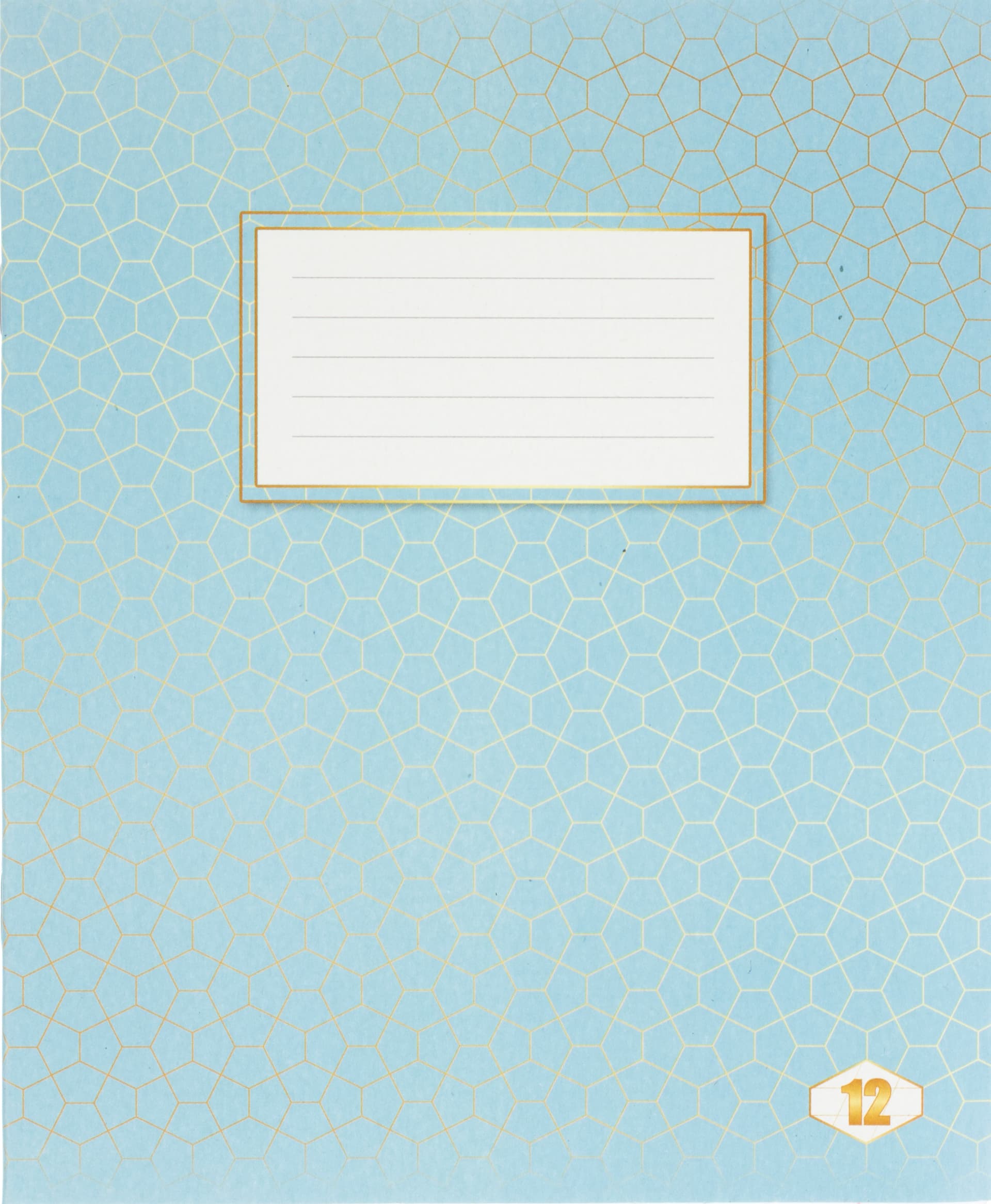 Зошит 12 аркушів коса лінія ТВ Фонова Шкільна (25) (700) ТЕ12897
