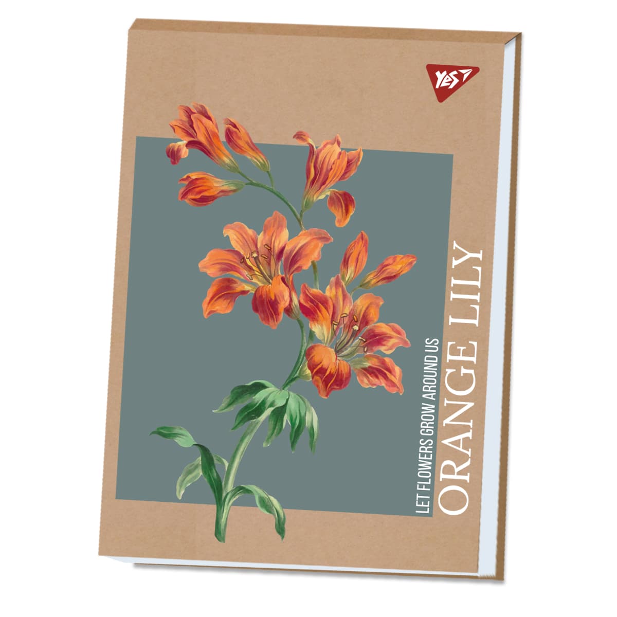 Альбом для рисов. склейка 40/100 А4 "Lily" крафт белила №130584/Yes/(6)(60)