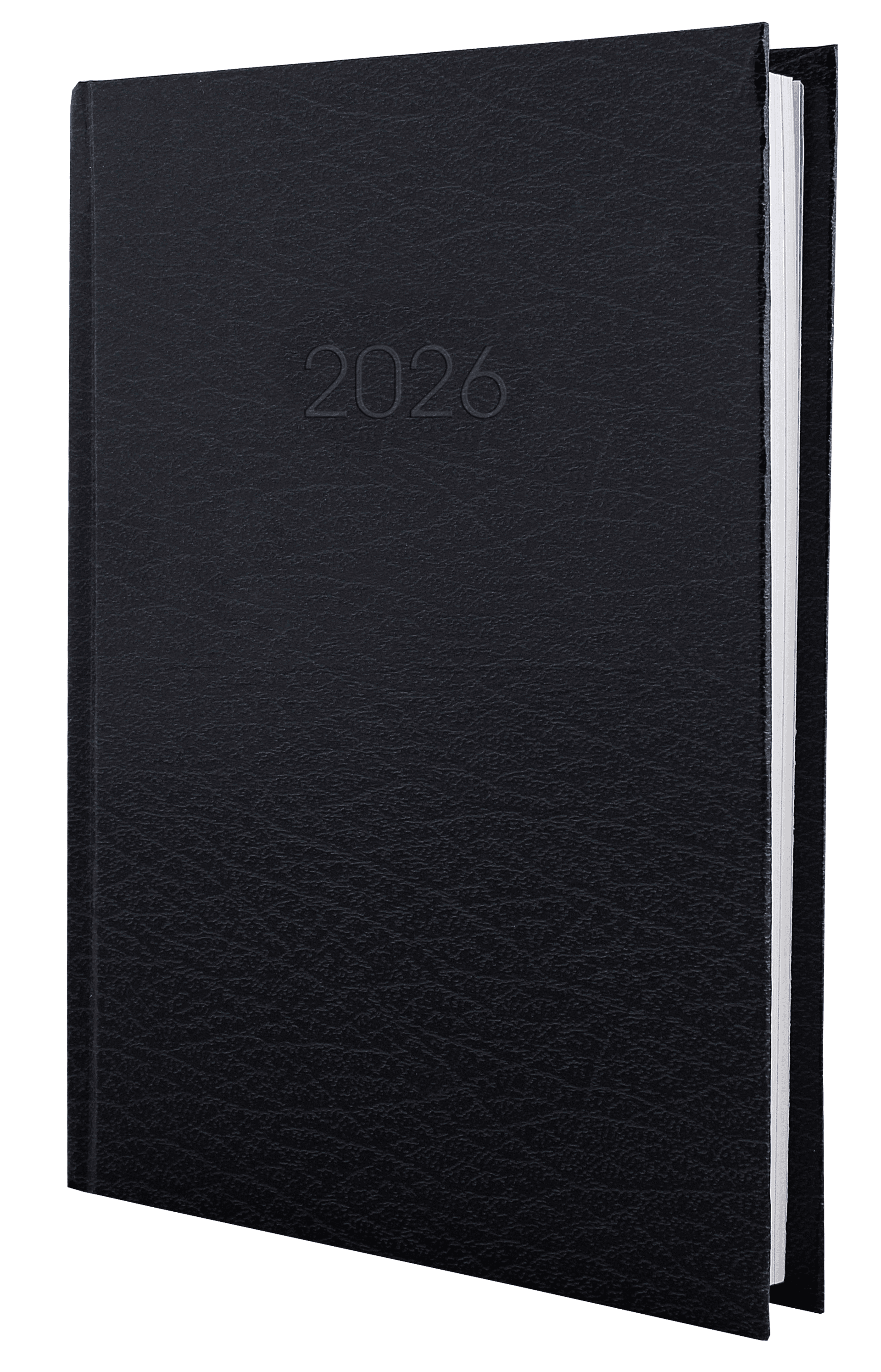 Щоденник датований 2025 Economix Стиль А5 темно-сірий E21636-56