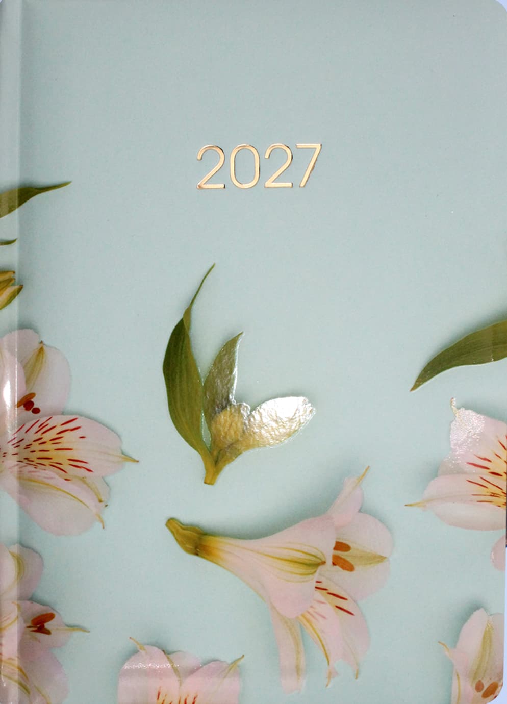 Щоден. А5 "Economix" дат2026 №E21898(20)