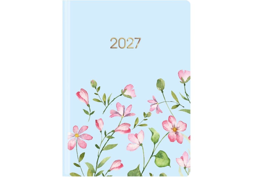 Ежедневник A5 Economix датированный 2027 E21839