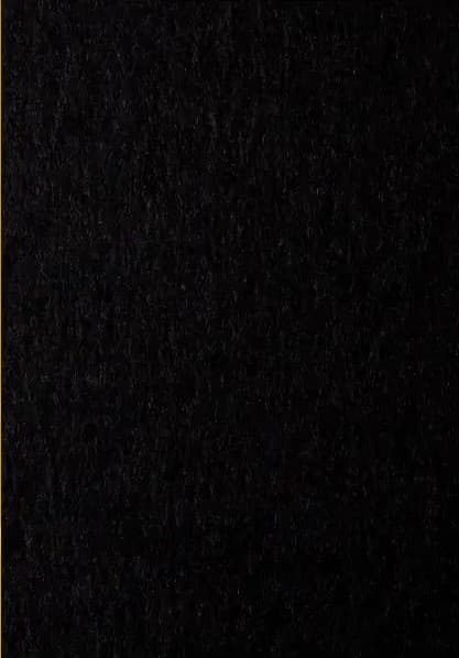 Папір кольор. А4 80г/м темн. Maestro Mondi Coloured B100 Black (чорний)(10)