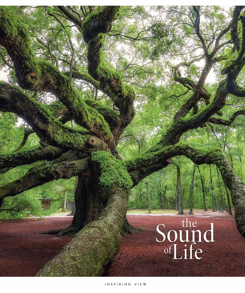 Зошит 96арк. лін. Star "The Sound of life" УФ лак №096-3347L(5)(60)