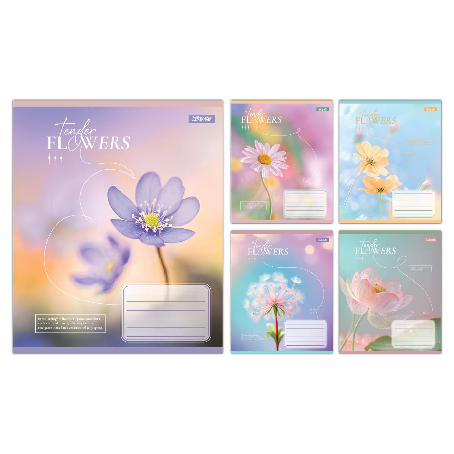 Зошит 18арк. кліт. 1В Tender Flowers №768074(25)(400)